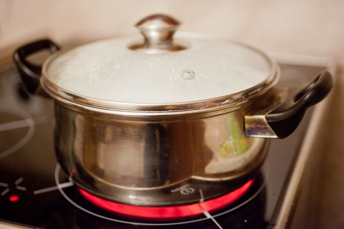 Electric Stove Noise(Buzzing, Clicking, Humming, Popping