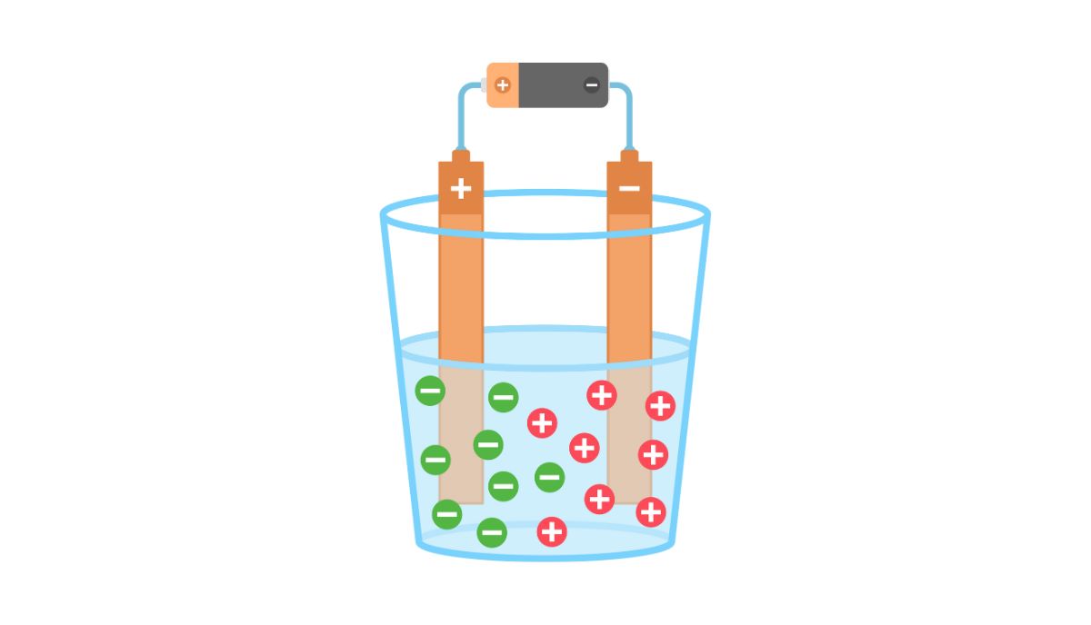 Do Duracell Batteries Have An Expiration Date? – PortablePowerGuides