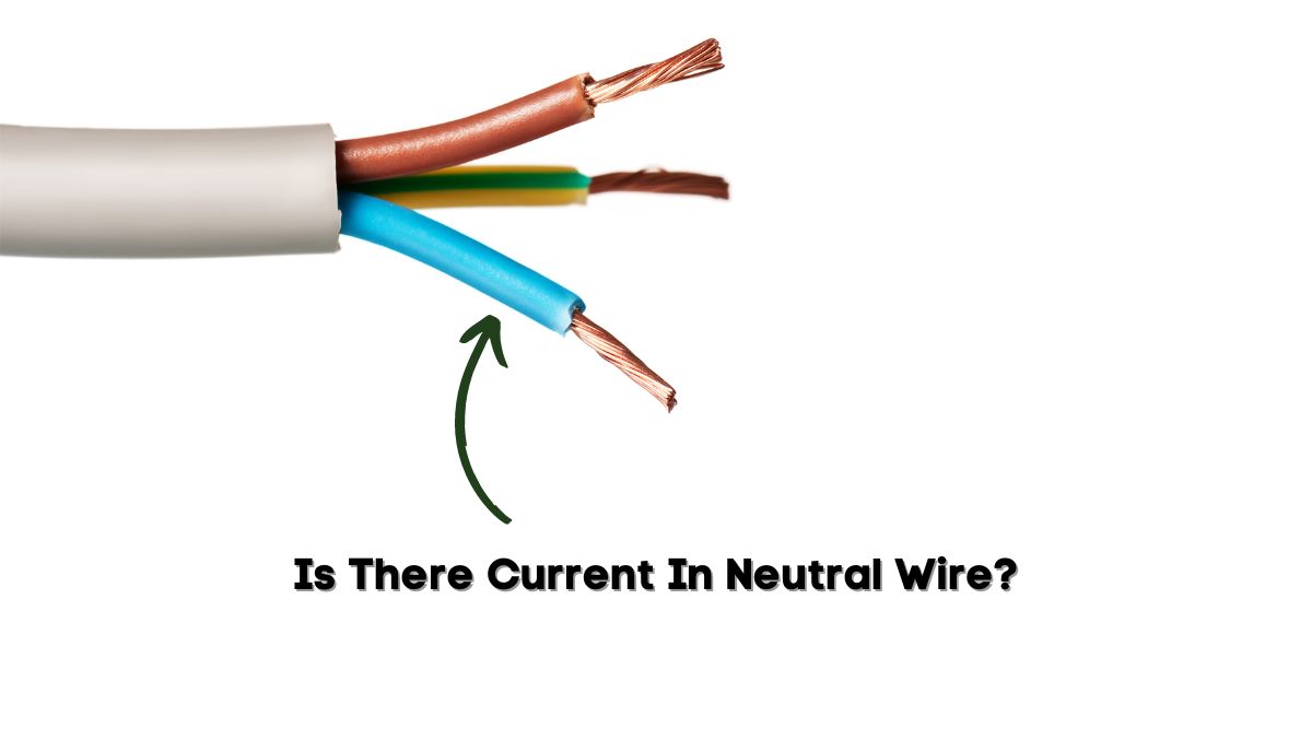 does the neutral wire carry current